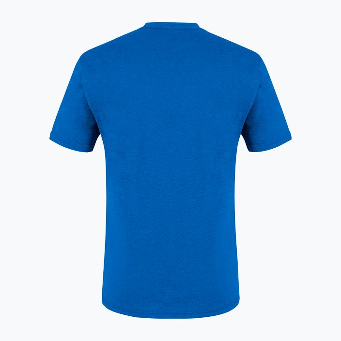 Herren-Trekking-T-Shirt Salewa Alpine Hemp Logo blau 00-0000028132 5