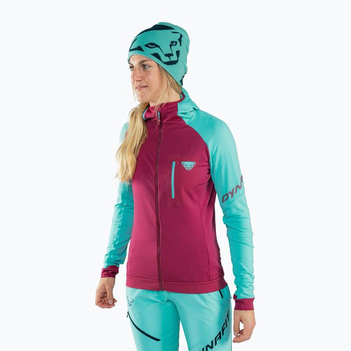 DYNAFIT Leopard Logo Skimütze marineblau 2