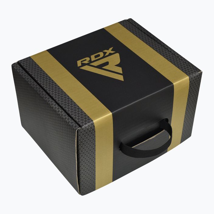 RDX L1 Mark Pro Boxen Training Pads golden 5