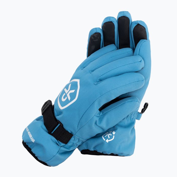 Skihandschuhe Kinder Color Kids Gloves Waterproof blau 74815