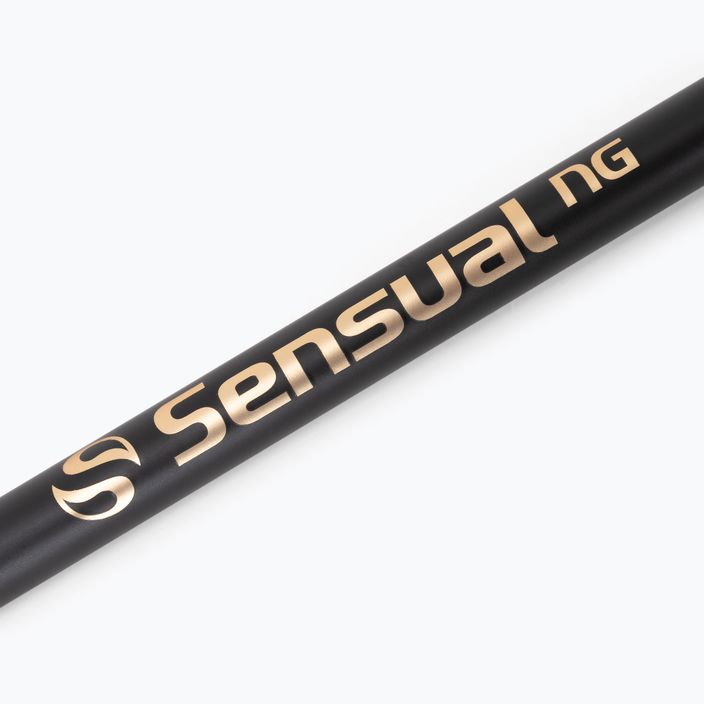 Mikado Sensual N.G Pole schwarz Schwimmrute WAA650 3