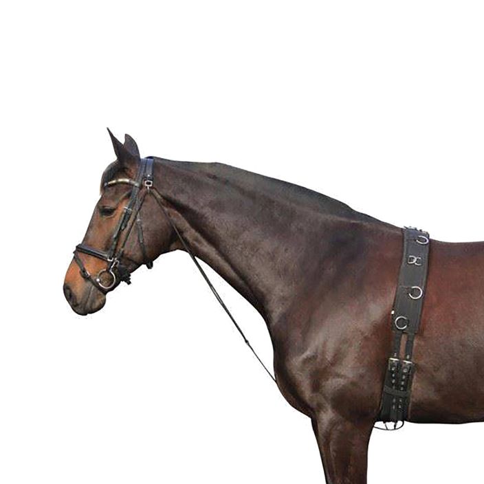 Yorker Pferdeleder Chambone schwarz 180202 2