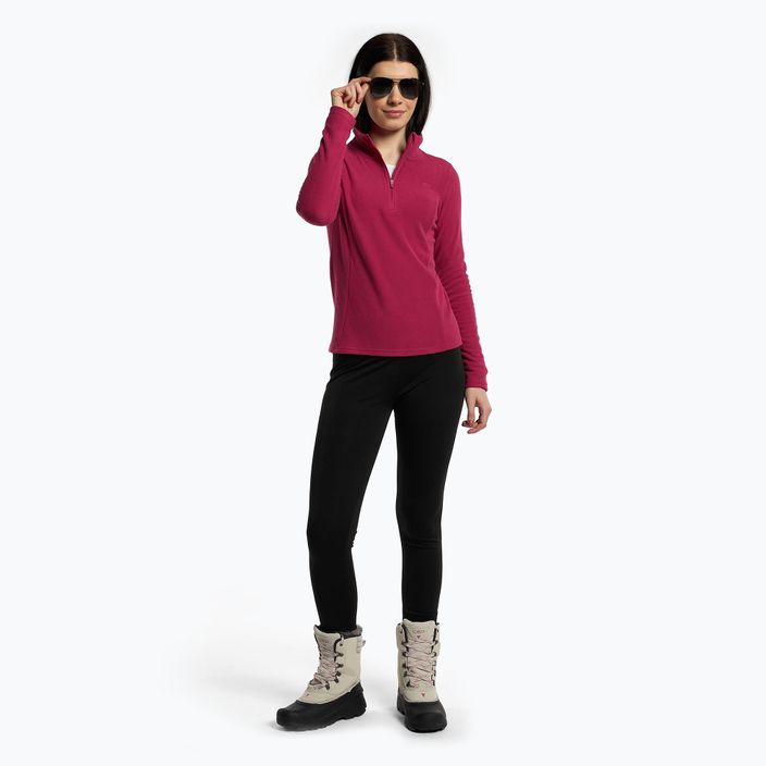 Damen-Ski-Sweatshirt 4F BIDP010 Fleece rosa H4Z22-BIDP010 2