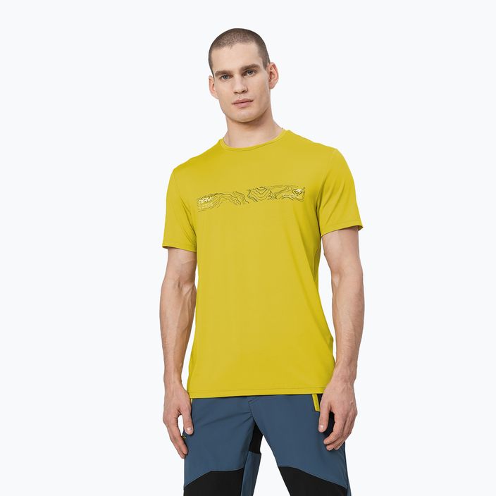 Herren 4F-Trekking-T-Shirt grün H4Z22-TSM019
