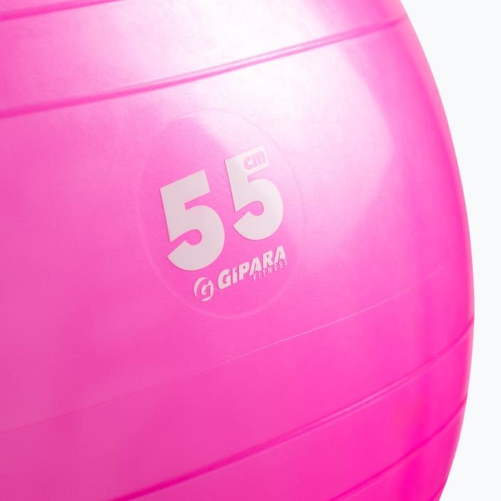 Gipara Fitness-Ball 55 cm rosa 3998 2