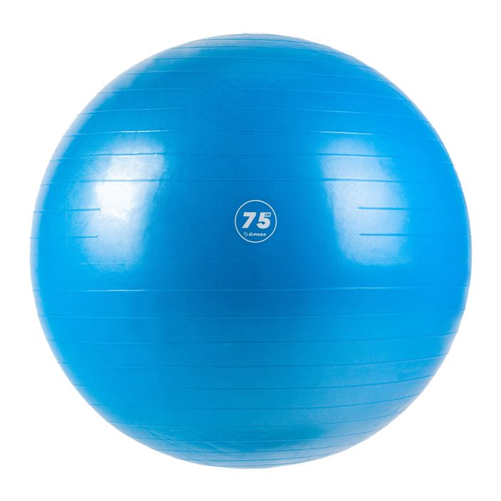 Gipara Fitnessball blau 3007 2