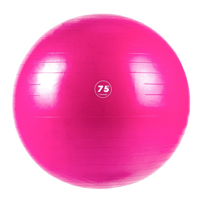 Gipara Fitnessball rosa 3008 2