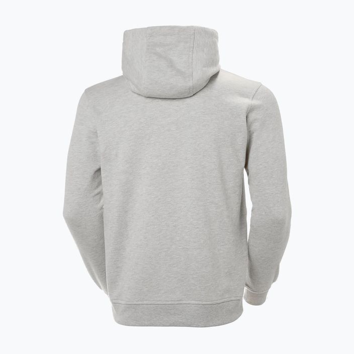 Herren Hoodie Sweatshirt Helly Hansen HH Logo Hoodie grey/melange 2