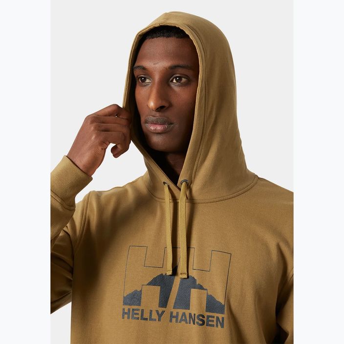 Herren Hoodie Sweatshirt Helly Hansen Nord Graphic Pull Over Hoodie lynx 3