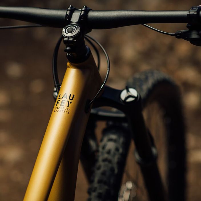 Orbea Mountainbike Laufey H10 beige N25017LX 2023 10