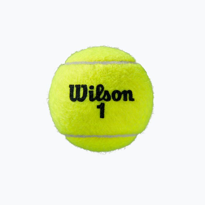 Wilson Roland Garros All Ct Tennisbälle 3 Stück gelb WRT126400 2
