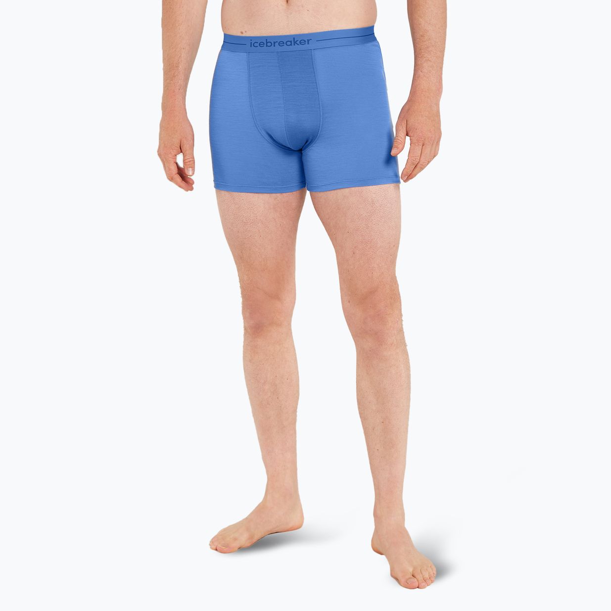 Thermo-Boxershorts für Männer icebreaker Anatomica baja 2