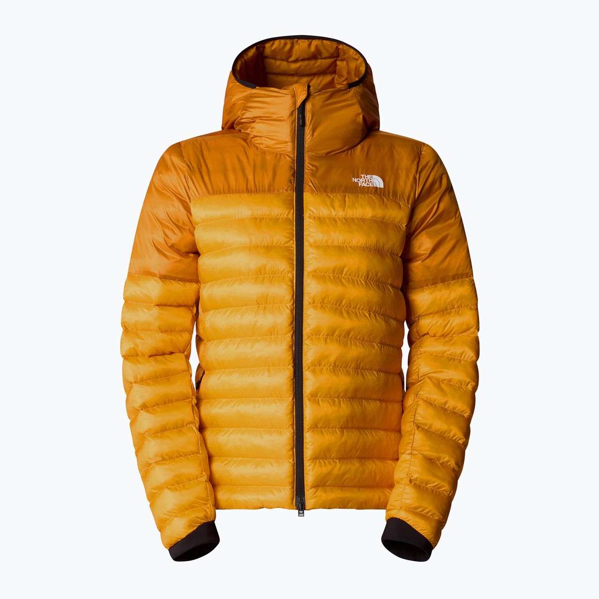 Damen Daunenjacke The North Face Terra Peak Hoodie Aprikose Glasur / Eisen Zitrus 5