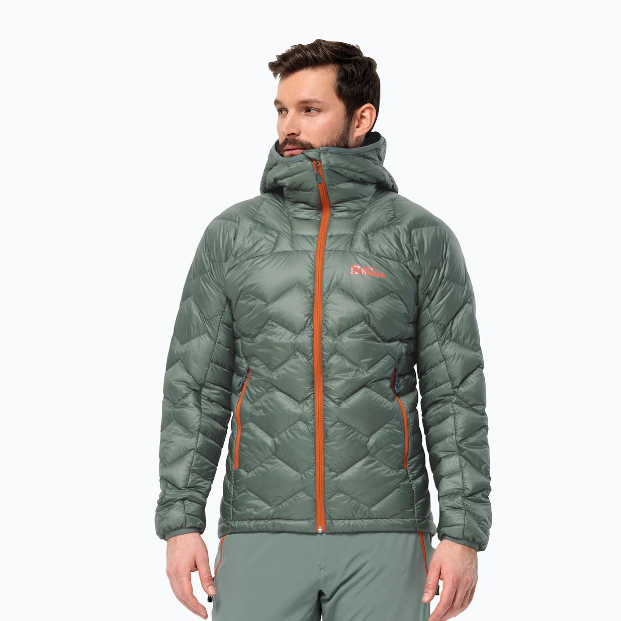 Jack Wolfskin Alpspitze Down Hoody heckengrün Herren Skijacke