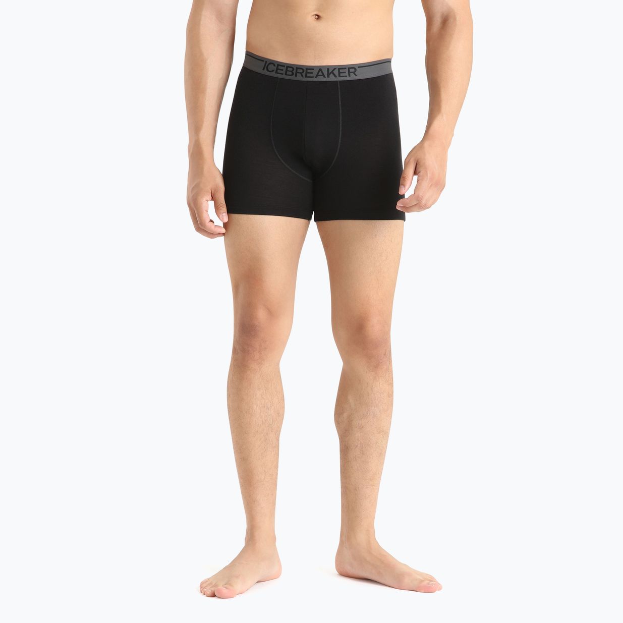 Icebreaker Herren-Boxershorts Anatomica 001 schwarz IB1030290101 4