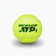 Dunlop ATP Tennisbälle 4 Stück gelb 601314 3