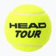 HEAD Tour Tennisbälle 4 Stück gelb 570704 2