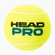 HEAD Pro Tennisbälle 4 Stück gelb 571604 2