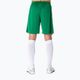 Herren Joma Nobel Fußball-Shorts grün 100053 7
