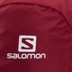 Wanderrucksack Salomon Trailblazer 3 l rot LC1525 4