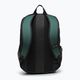 Oakley Wandern Rucksack Oakley Enduro 20L 3.0 Rucksack Jäger grün 2