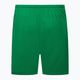 Herren Nike Dry-Fit Park III Fußball-Shorts grün BV6855-302 2