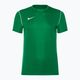 Herren Nike Dri-Fit Park 20 Tannengrün/Weiß Fußballtrikot