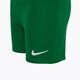 Nike Dri-FIT Park Fußball-Set für kleine Kinder tannengrün/tannengrün/weiß 5