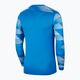 Herren Nike Dri-Fit Park IV Fußball Sweatshirt blau CJ6066-463 2