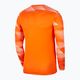 Herren Nike Dri-Fit Park IV Fußball Sweatshirt orange CJ6066-819 2