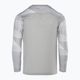 Nike Dri-FIT Park IV Kinder-Torwart-T-Shirt zinngrau/weiß/schwarz 2