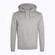 Herren Sweatshirt Napapijri NP0A4FQV gris 5