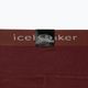 Icebreaker Damen Thermo-Hose 200 Oasis braun IB1043830641 10