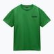 Herren Napapijri S-Linth grün kelly t-shirt 5