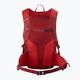 Salomon Trailblazer 20 l Wanderrucksack dahlia/hohes Risiko rot 2