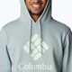 Columbia Trek Hoodie Herren-Trekking-Sweatshirt grau 1957913 5