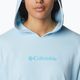 Damen-Trekking-Sweatshirt Columbia Logo III French Terry blau 2032871490 4