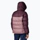 Columbia Damen Daunenjacke Pike Lake Insulated II moonvista/fig 3