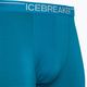 Thermo-Boxershorts für Herren Icebreaker Anatomica Geo Blau 103029 3