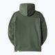 Damen-Trekking-Sweatshirt The North Face Drew Peak Pullover Hoodie grün NF0A55ECNYC1 8