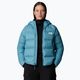 Damen Daunenjacke The North Face Hyalite Down Hoodie algenblau 4