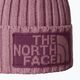 Herren-Wintermütze The North Face Heritage Ski Tuke mauve/midnight mauve 2