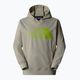 Herren Sweatshirt The North Face Tekno Logo Hoodie Ton grau 4