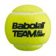 BABOLAT Team All Court Tennisbälle 4 Stück gelb 502081 3