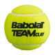 BABOLAT Team Clay Tennisbälle 4 Stück gelb 502080 3