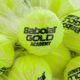 BABOLAT Gold Academy Tennisbälle 72 Stück gelb 512007 2