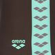 Arena Icons Swim Short Solid sepia/water Boxershorts 3