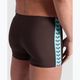 Arena Icons Swim Short Solid sepia/water Boxershorts 8