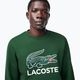 Lacoste Herren SH1281 grünes Sweatshirt 4