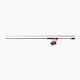 Abu Garcia Max X Spinning 802M Maxxsp30 Ruten- und Rollenset